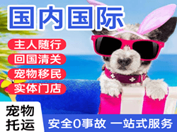 成都双流机场快递国际宠物托运 【国